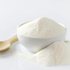 LECHE EN POLVO