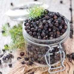 BAYAS DE ENEBRO - 30g