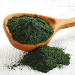 ALGA SPIRULINA