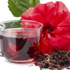 FLOR DE HIBISCO