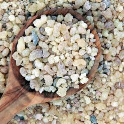GRANO DE INCIENSO