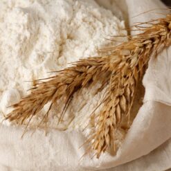 HARINA INTEGRAL FINA