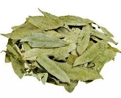 HOJAS DE SEN