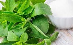 HOJAS DE STEVIA
