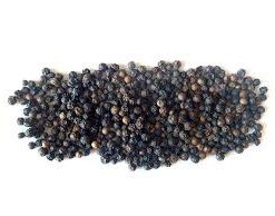 PIMIENTA NEGRA EN GRANO