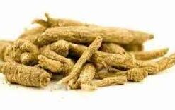 RAIZ DE GINSENG SIBERIANO