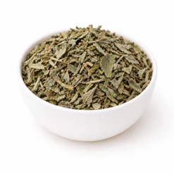 SALVIA